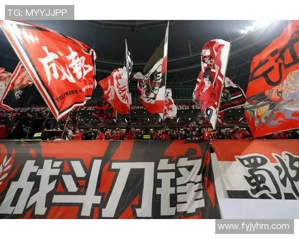 新赛季中超前景广阔成都蓉城引入法甲后防核心值得期待 新赛季中超前景广阔成都蓉城引入法甲后防核心值得期待